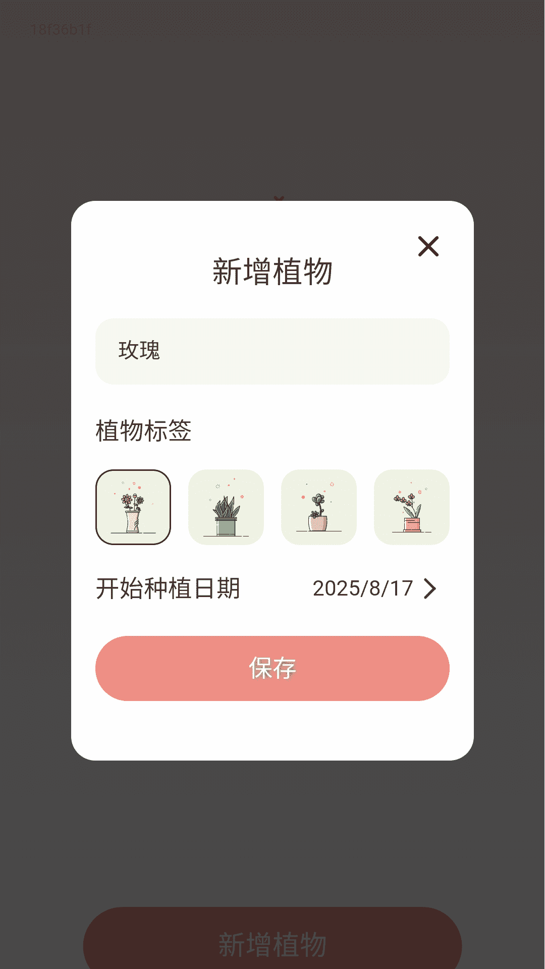 精彩截图-步步福气盈2026官方新版