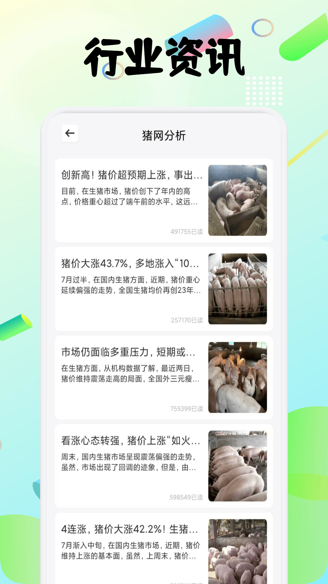 精彩截图-猪猪多福2026官方新版