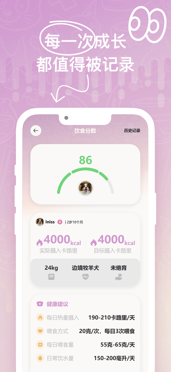 精彩截图-petpix2026官方新版