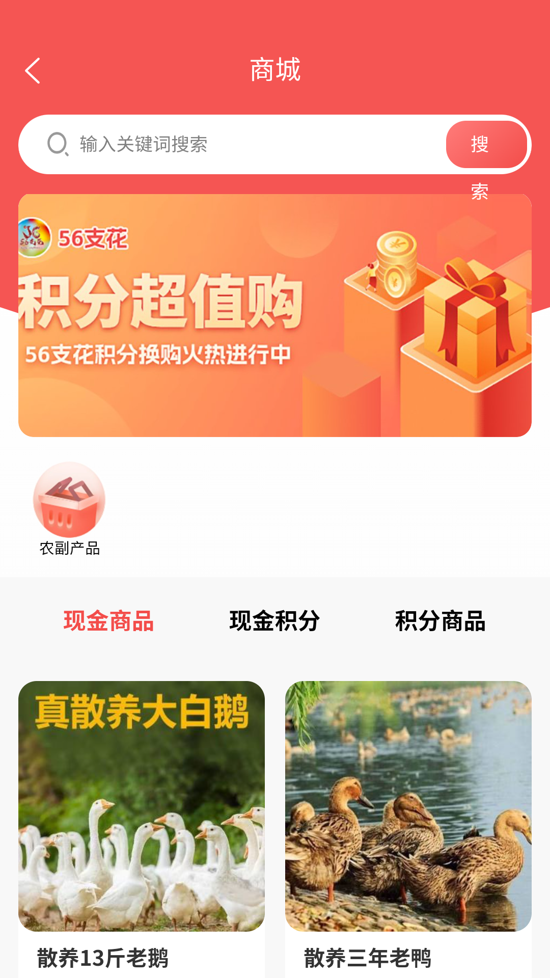 精彩截图-56支花2026官方新版