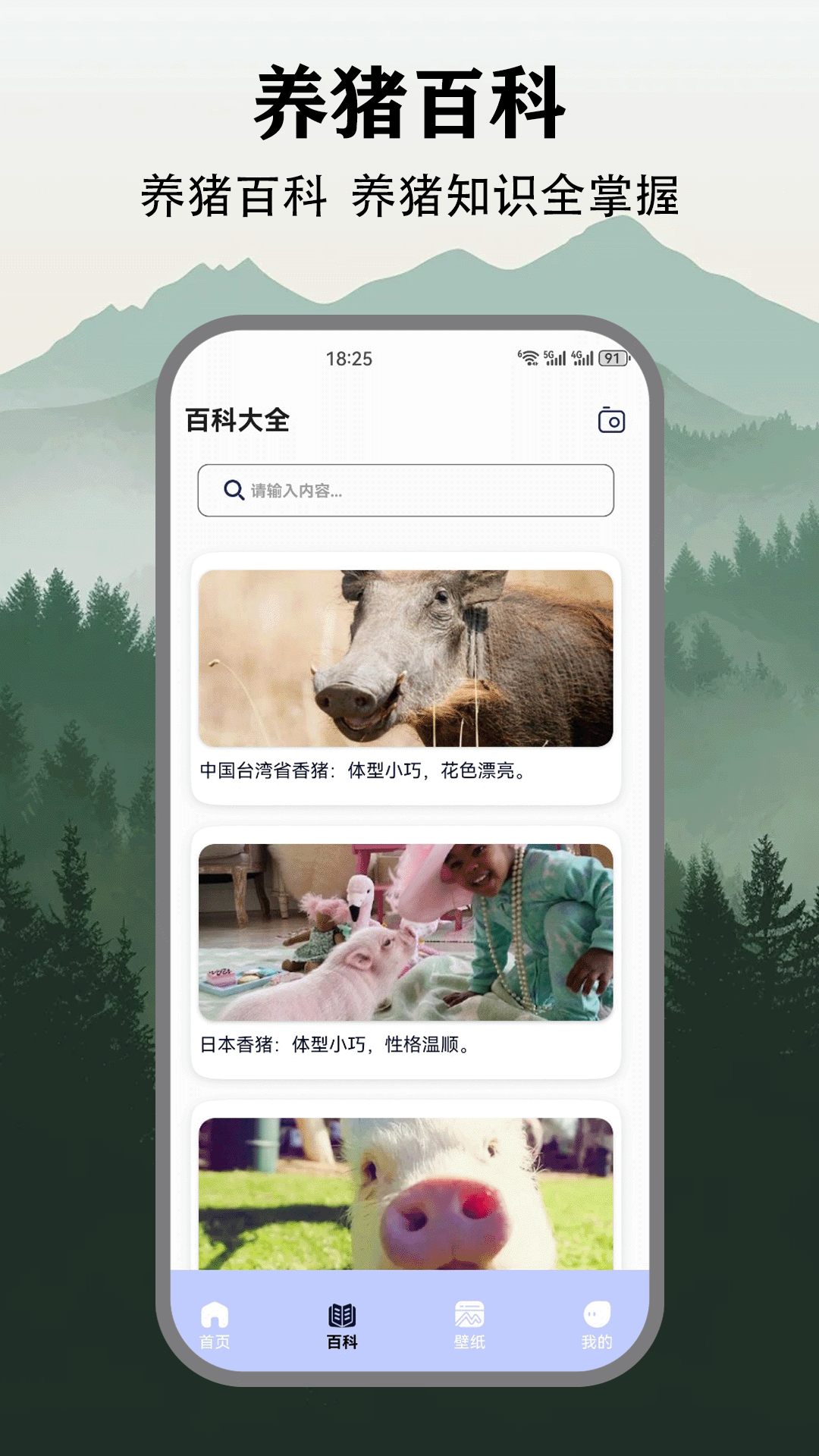 精彩截图-猪猪多福：吃大席2026官方新版