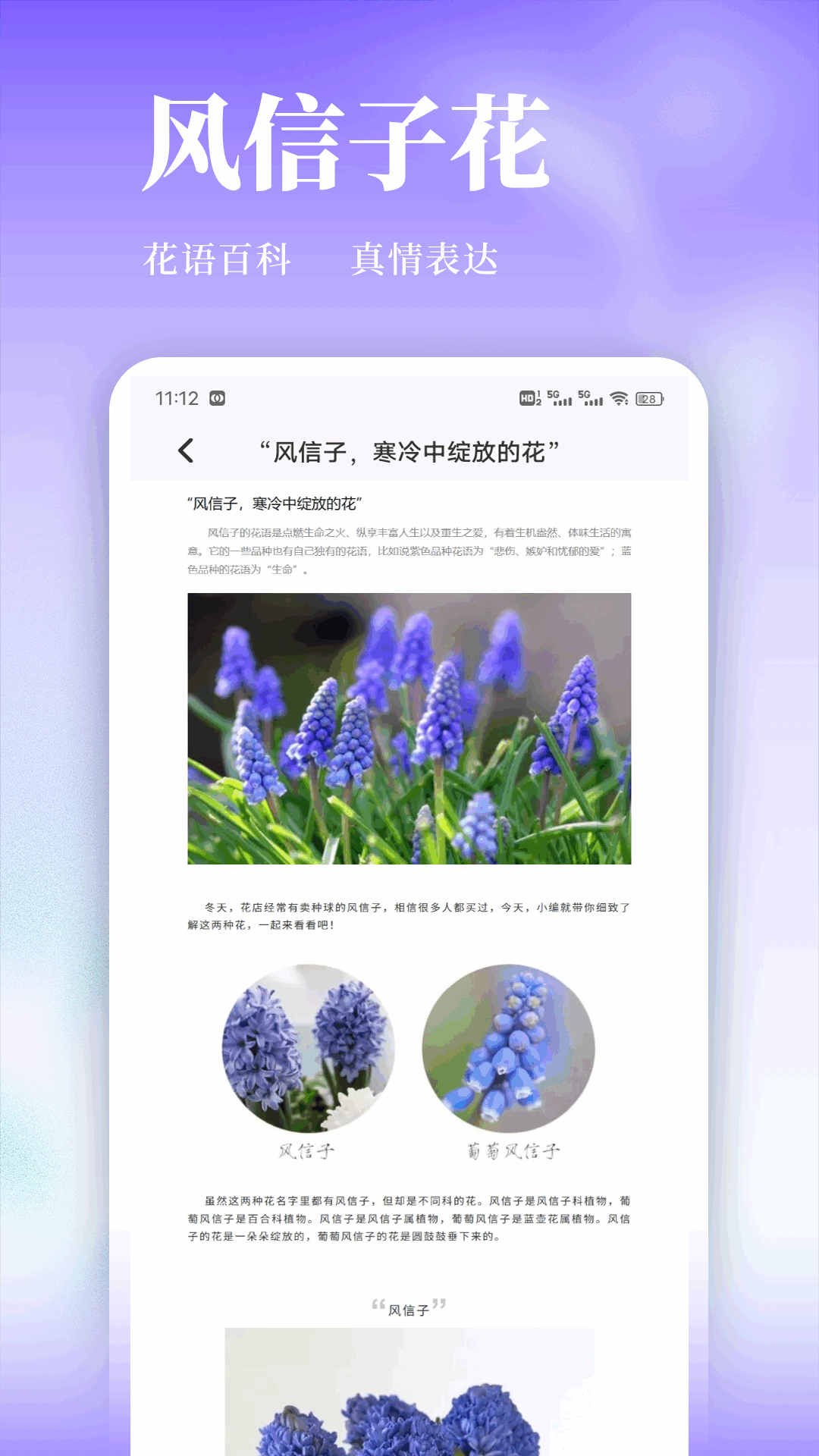 精彩截图-天源花儿2026官方新版
