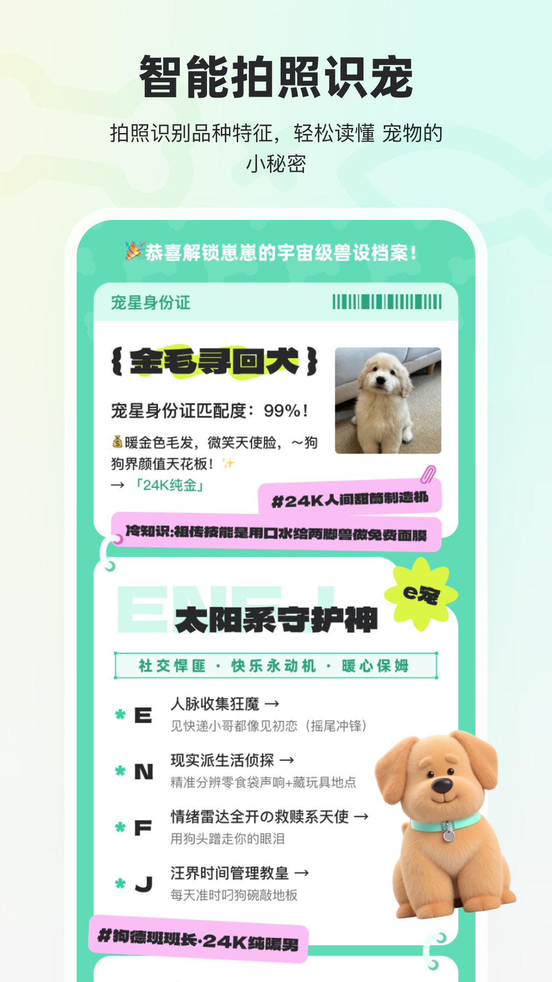 精彩截图-宠拍档2026官方新版