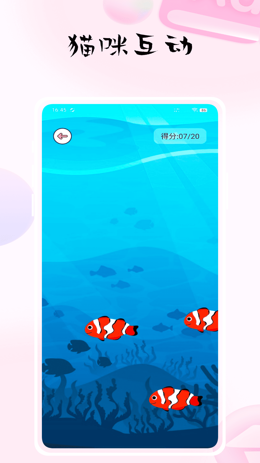 精彩截图-猫咪抓鱼2026官方新版