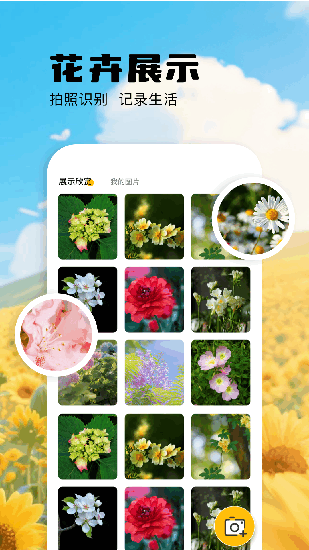 精彩截图-扫描识万物2025官方新版