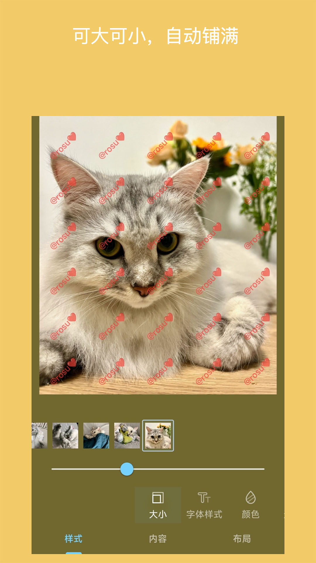 精彩截图-简单水印照片2026官方新版