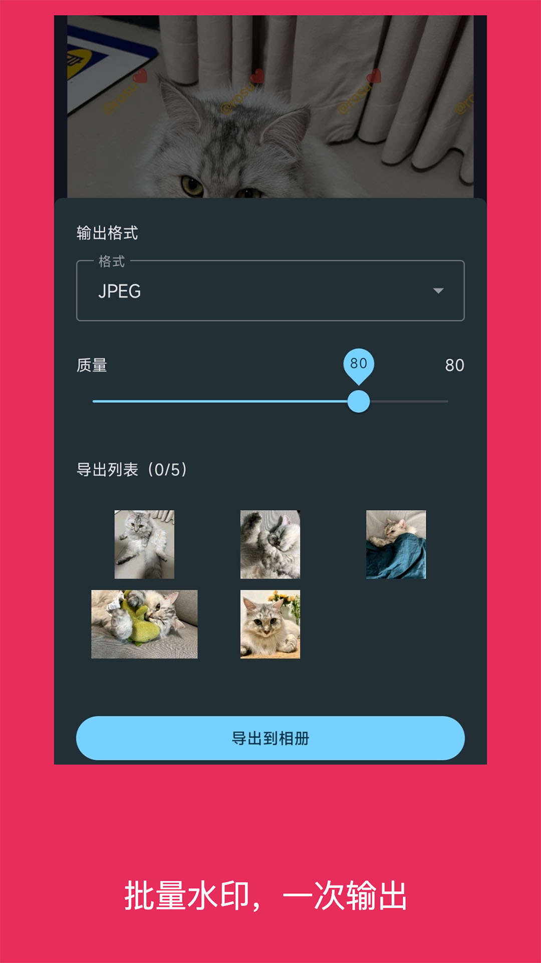 精彩截图-简单水印照片2026官方新版