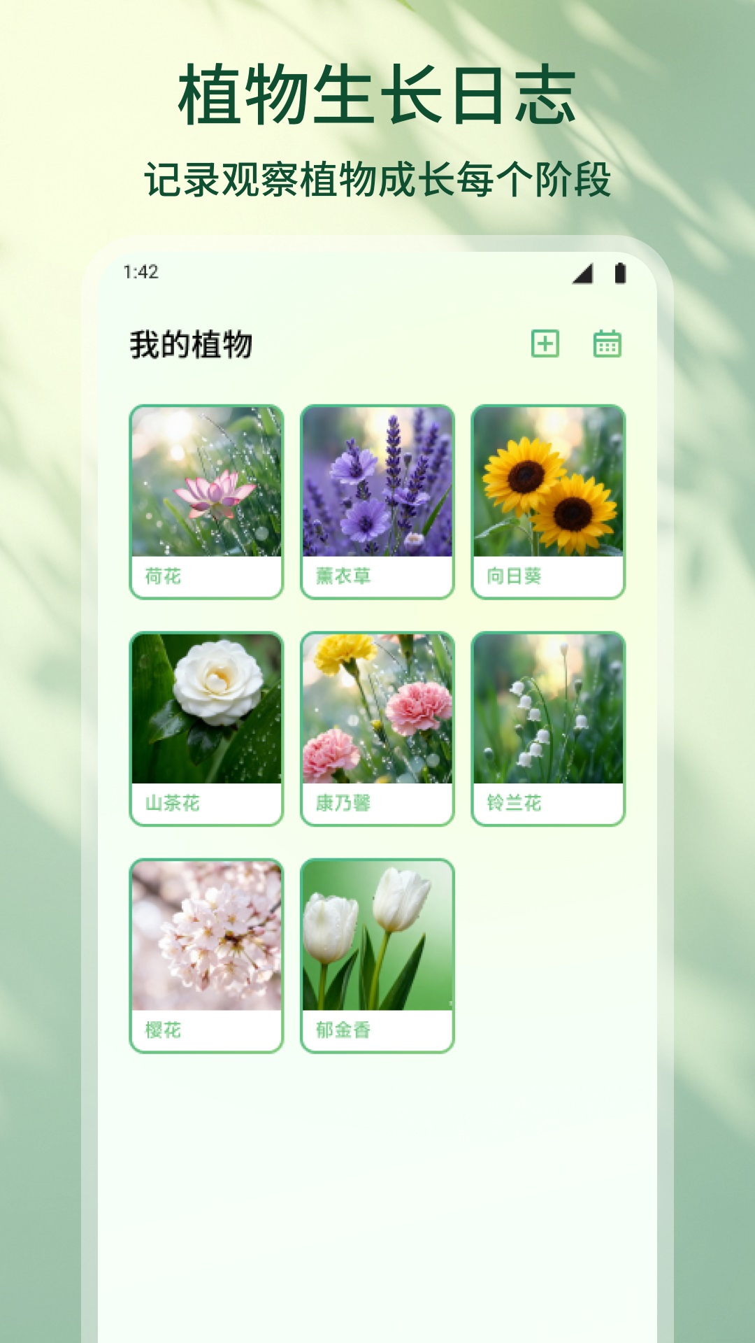 精彩截图-花朵物语2026官方新版