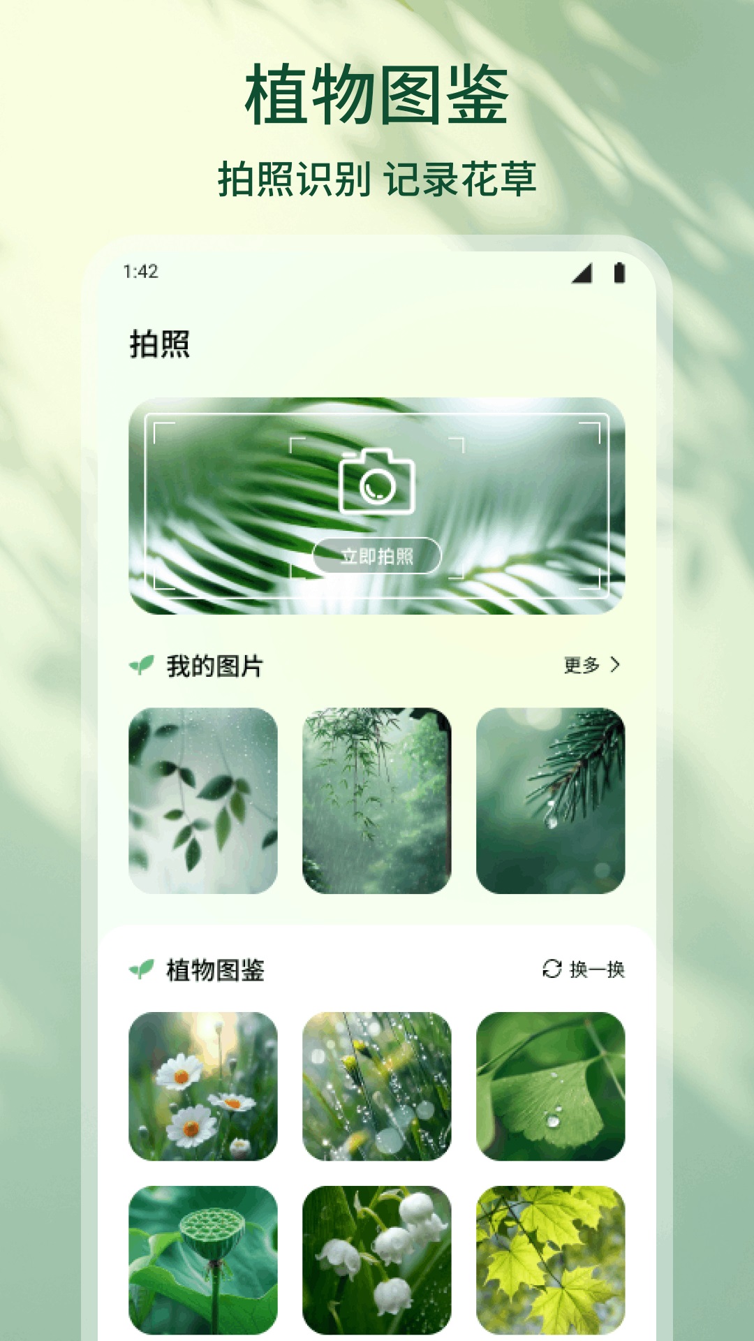 精彩截图-花朵物语2026官方新版