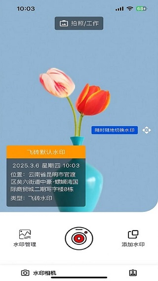 精彩截图-飞砖2026官方新版