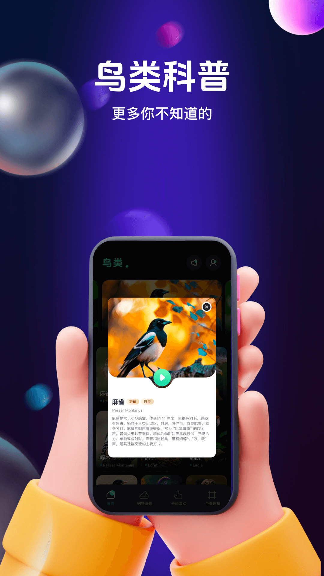 鸟儿摇鸣曲 截图 5
