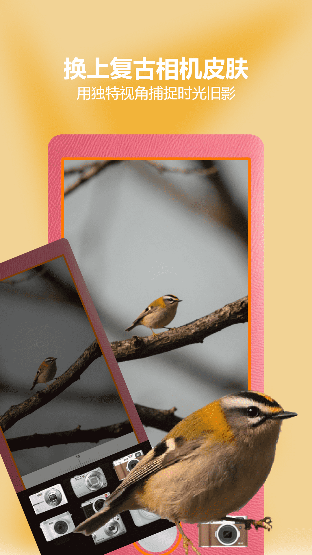 精彩截图-Tapaup2026官方新版