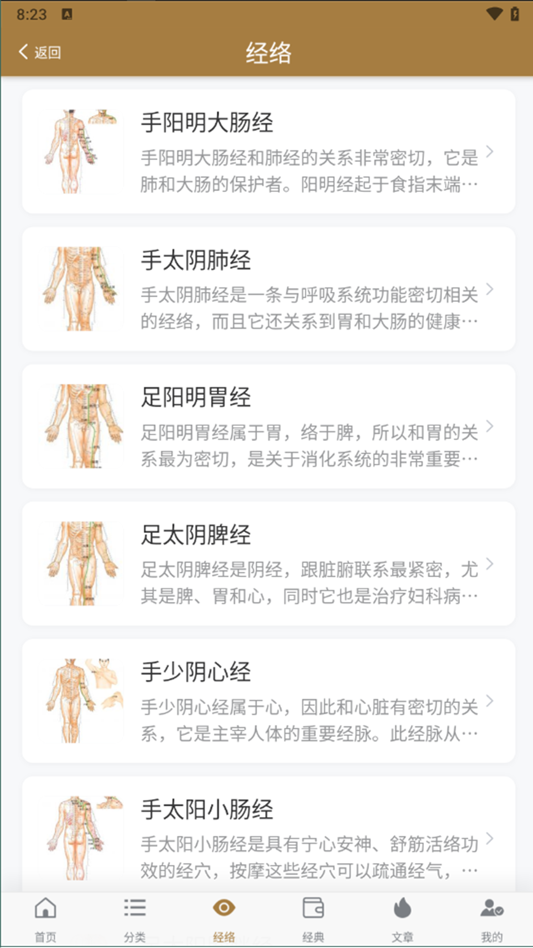 精彩截图-穴位图谱大全2026官方新版