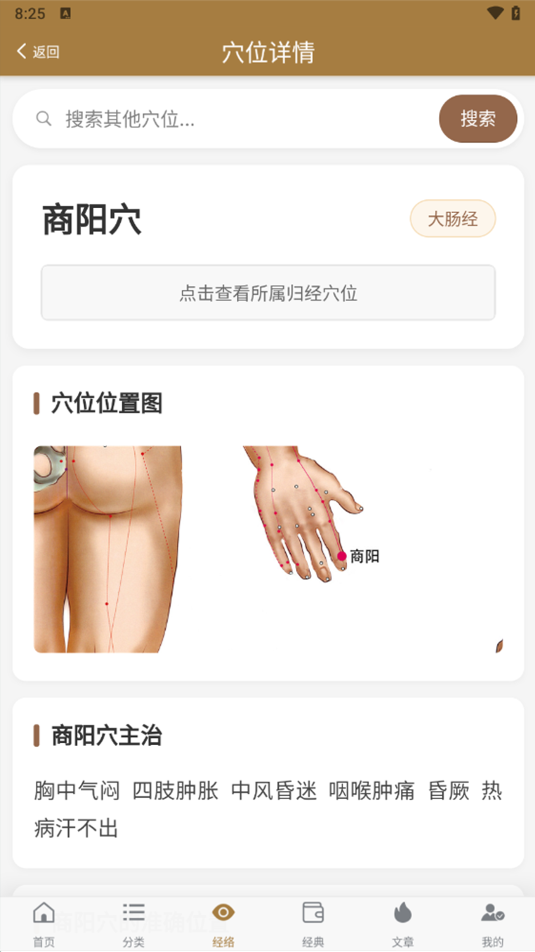 精彩截图-穴位图谱大全2026官方新版