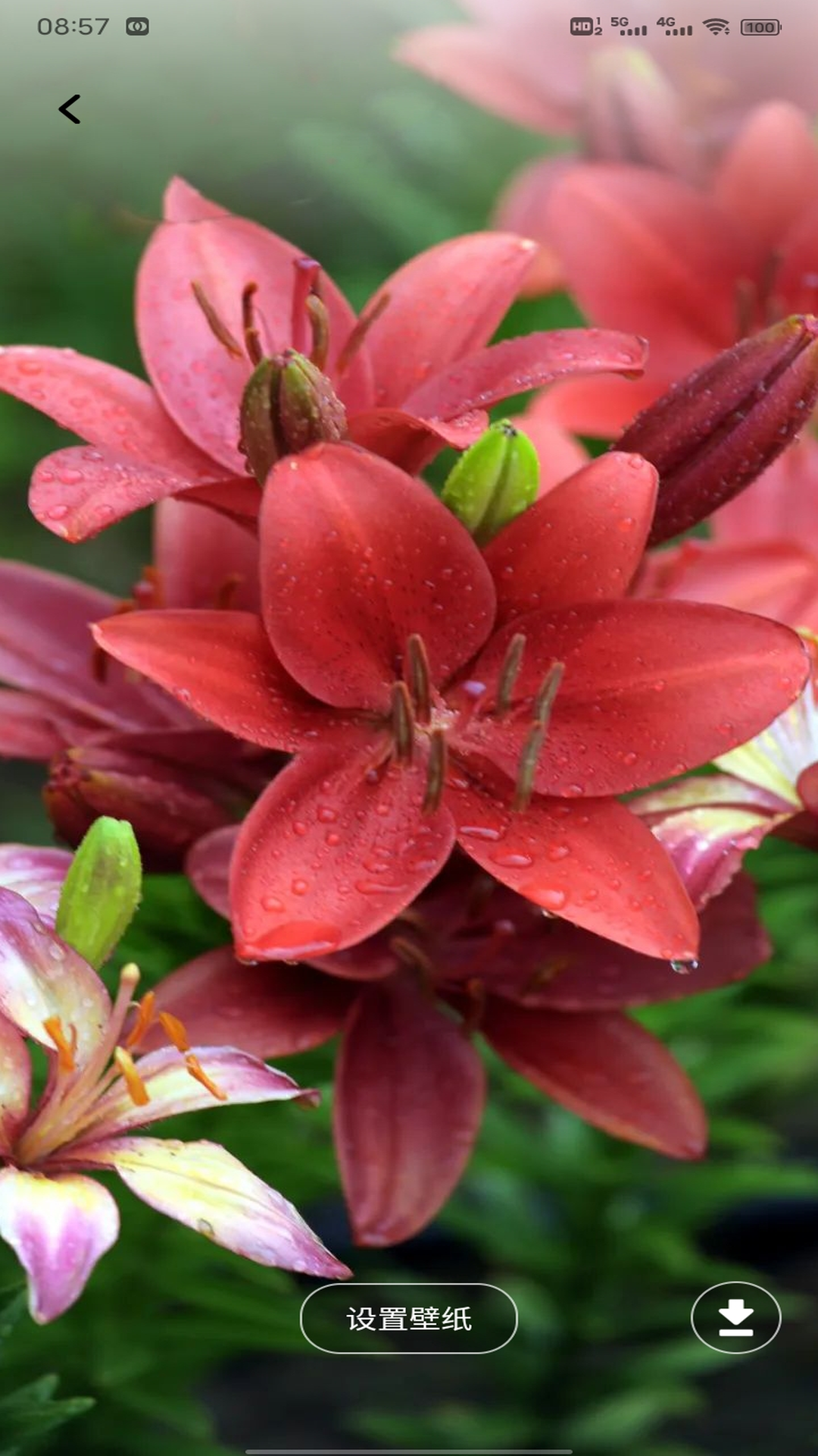 精彩截图-O互联2026官方新版