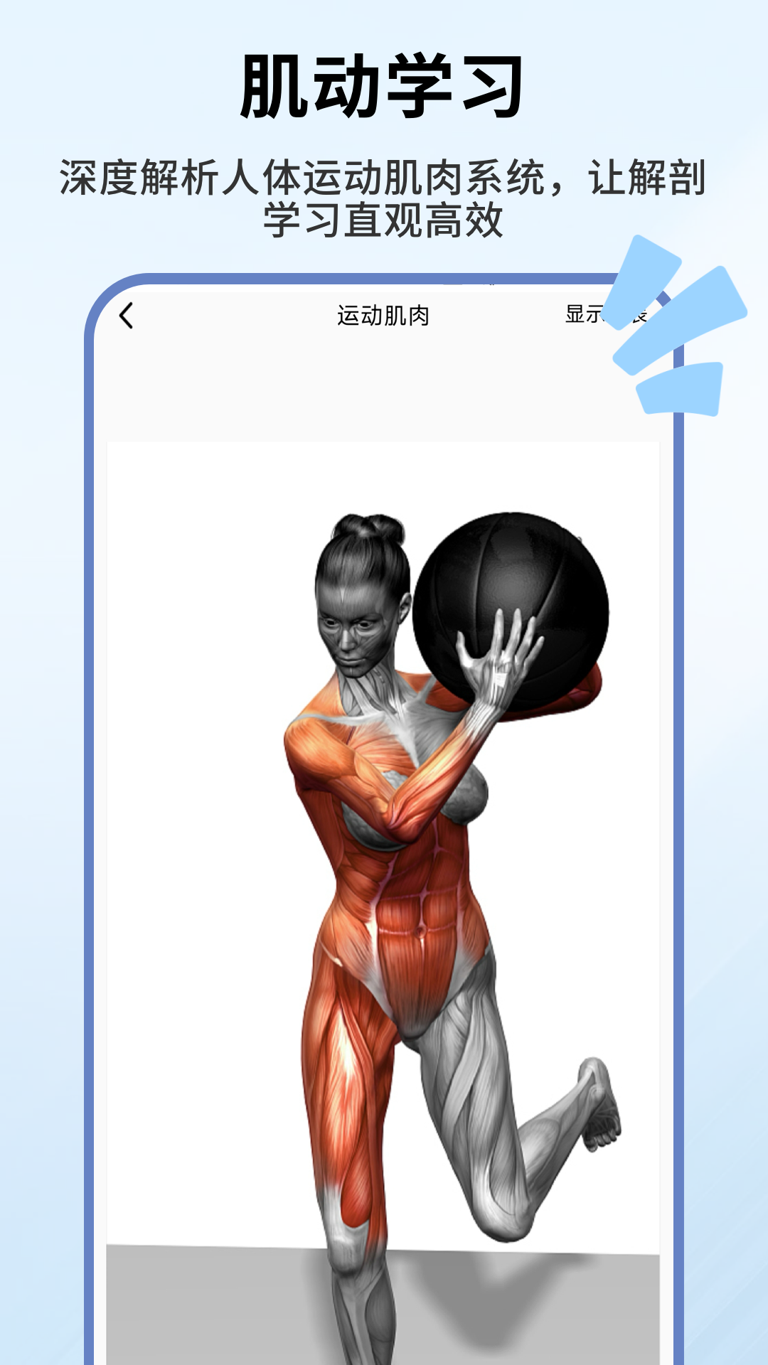 精彩截图-人体解剖学图谱2026官方新版