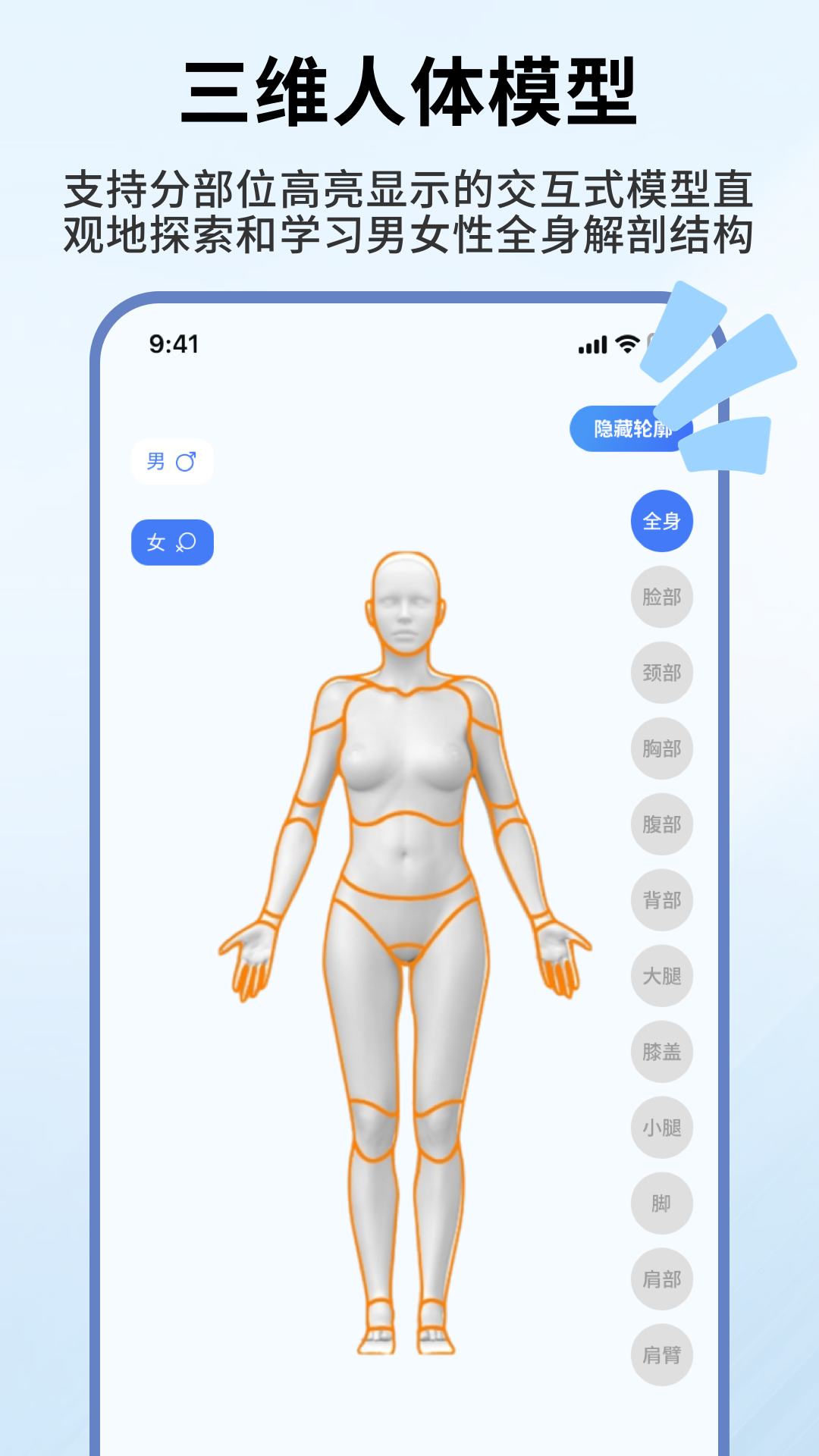 精彩截图-人体解剖学图谱2026官方新版