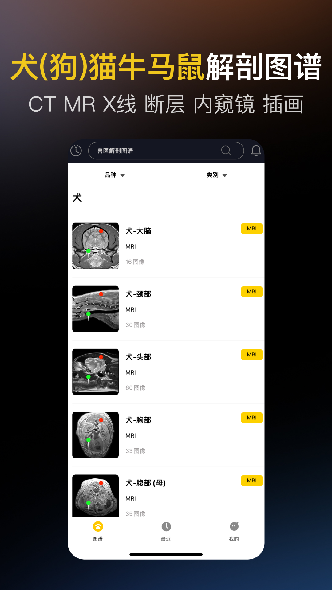 兽医解剖图谱 截图 2
