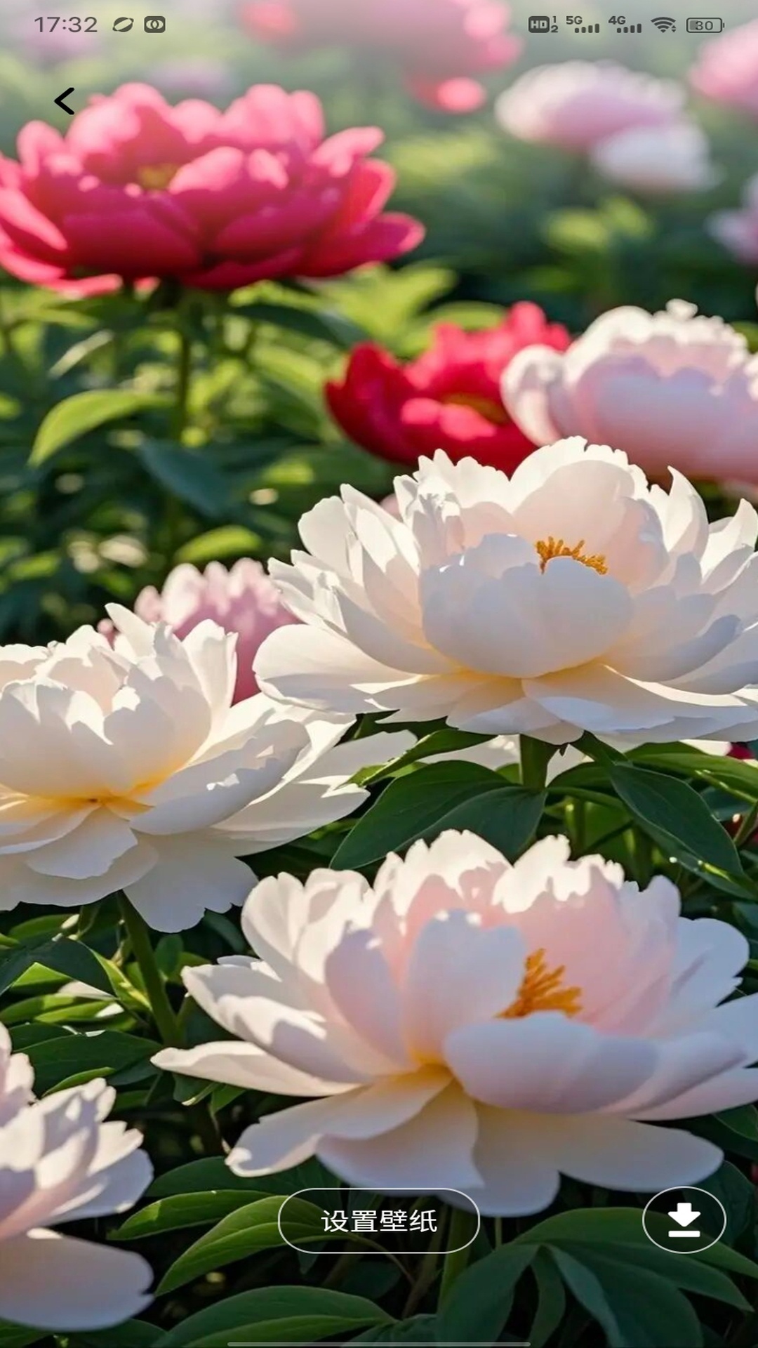 精彩截图-任意花2026官方新版