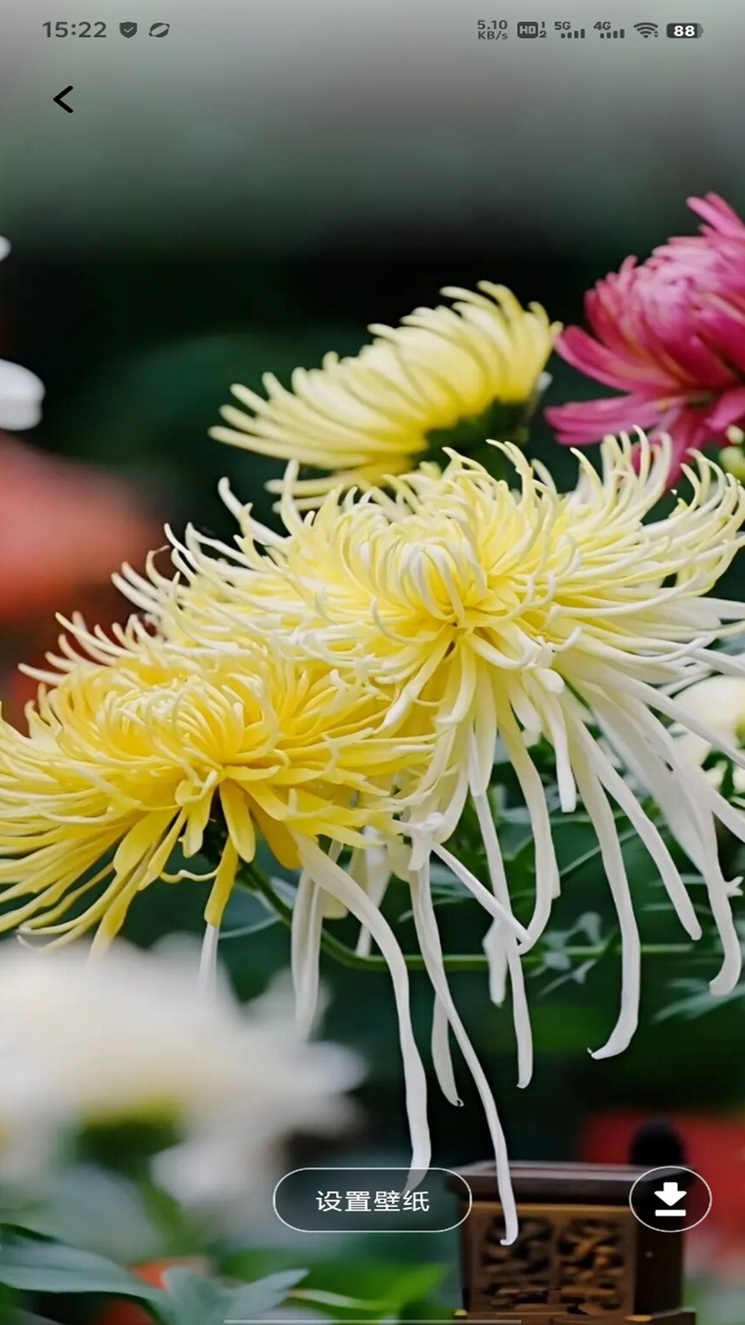 精彩截图-任你GO2026官方新版