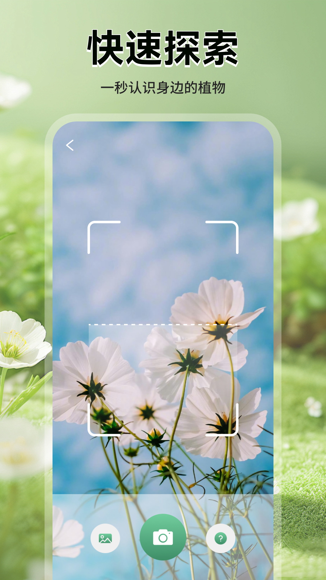 精彩截图-猫满花语2026官方新版