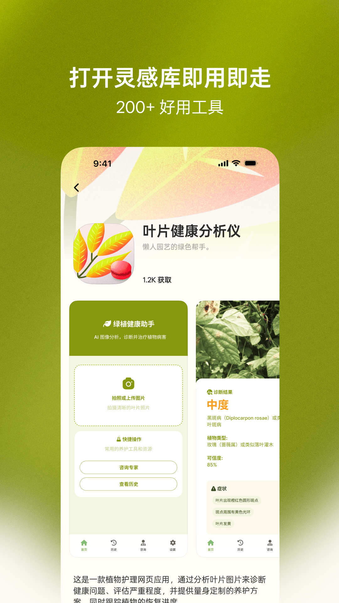 精彩截图-马卡龙2026官方新版