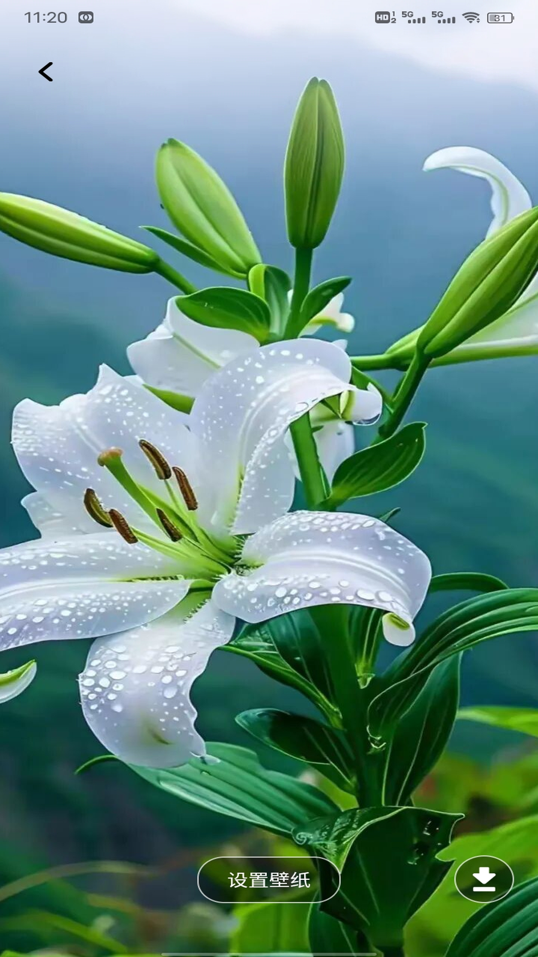 精彩截图-健康优2026官方新版