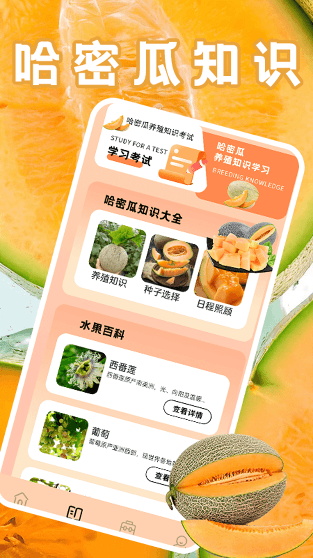 精彩截图-发财哈密瓜2026官方新版