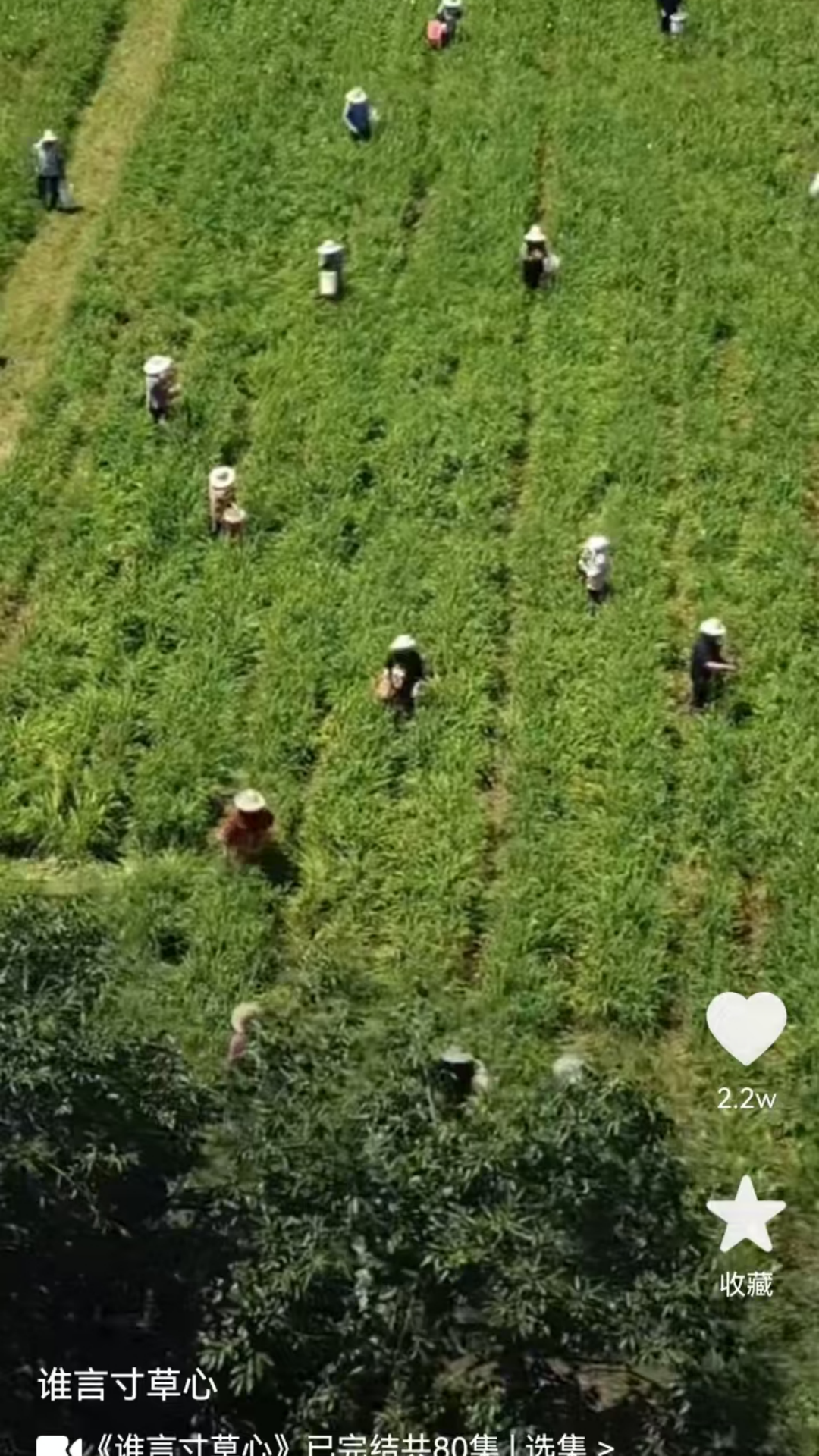 精彩截图-友推2026官方新版