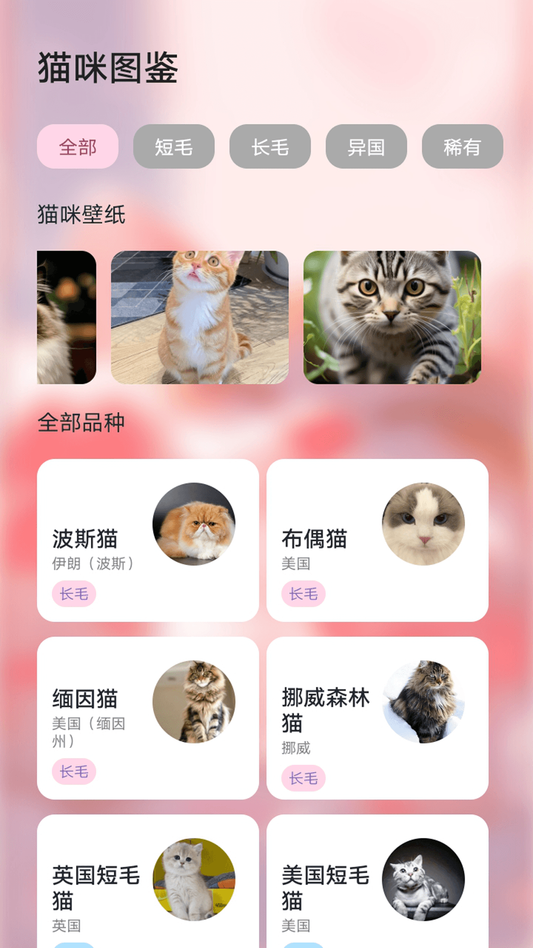 精彩截图-喵喵大人物语记2026官方新版