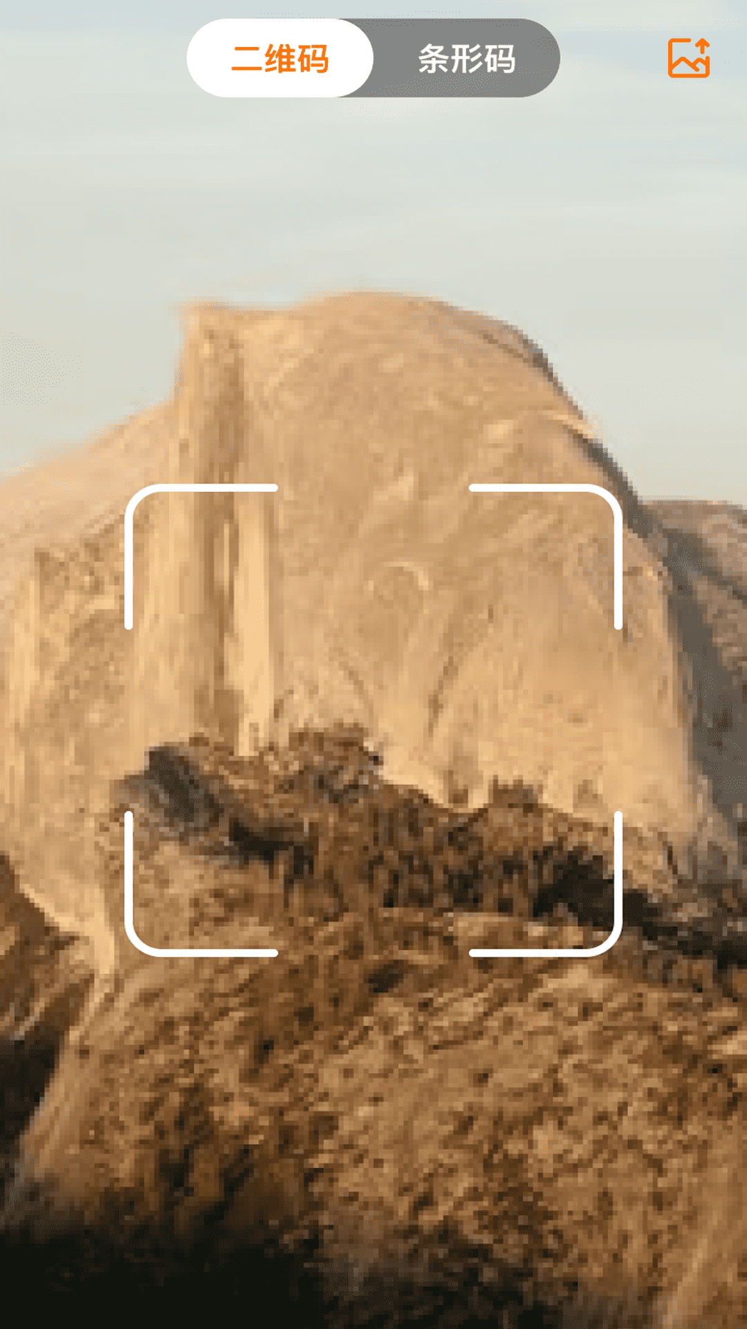 精彩截图-一键WiFi免密连2026官方新版