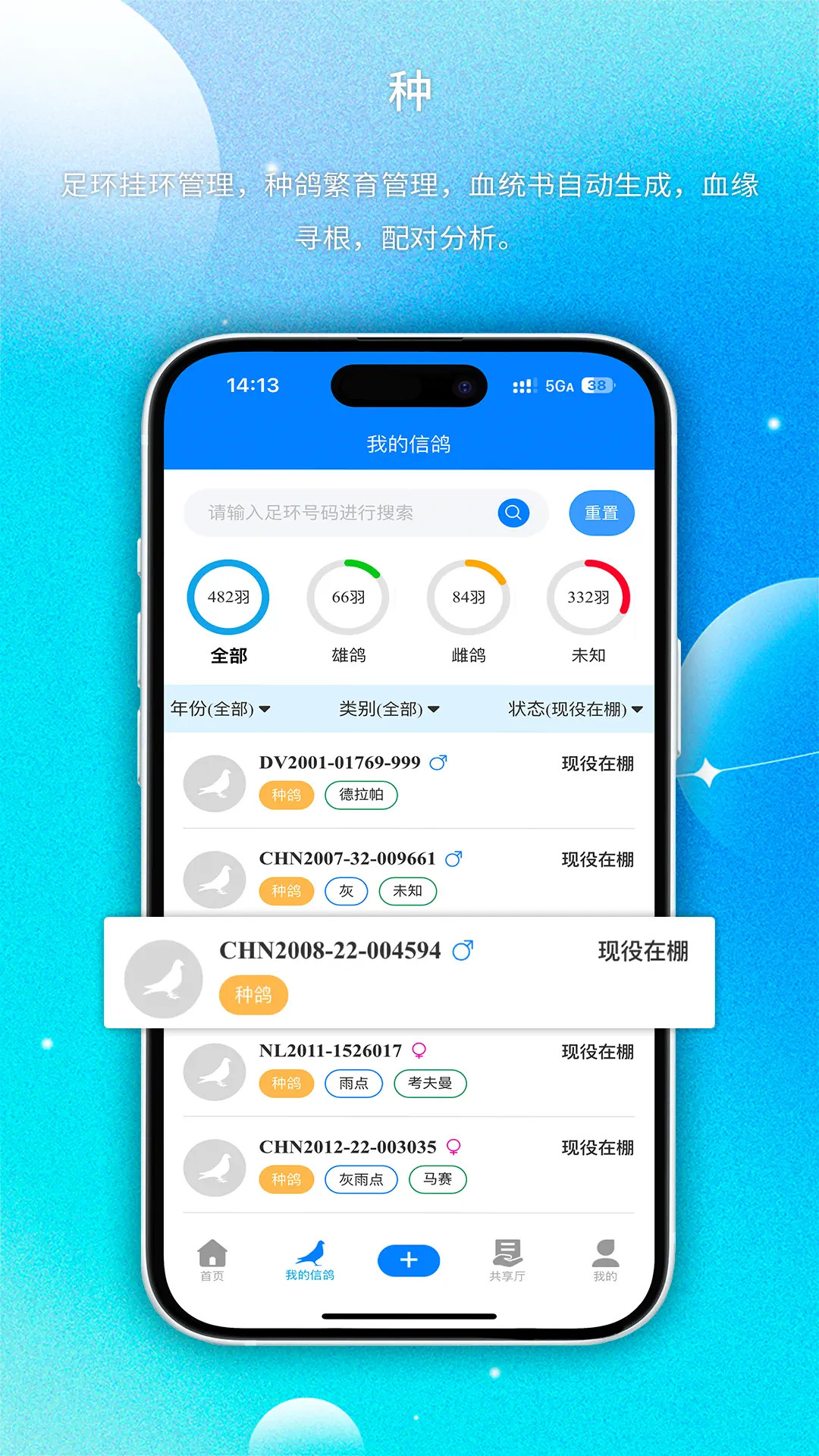 精彩截图-天下鸽谱2026官方新版