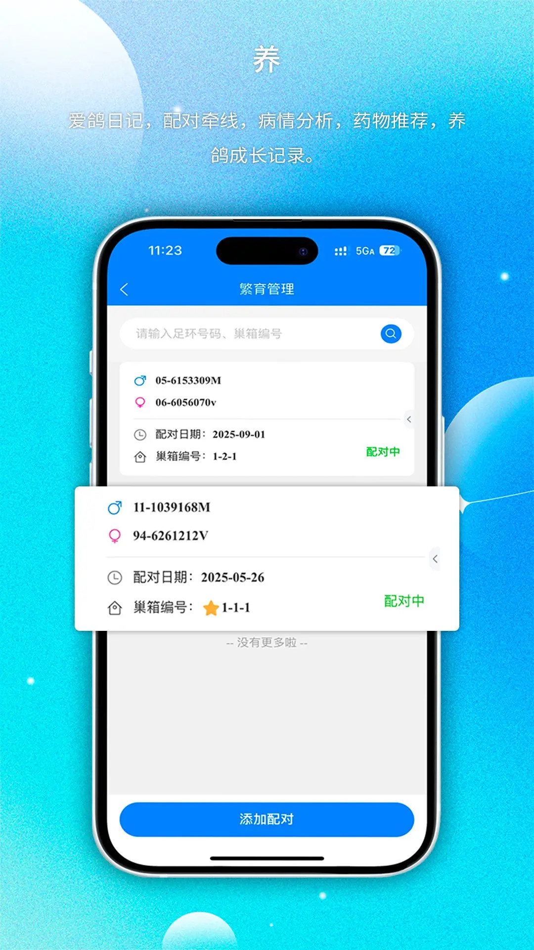 精彩截图-天下鸽谱2026官方新版