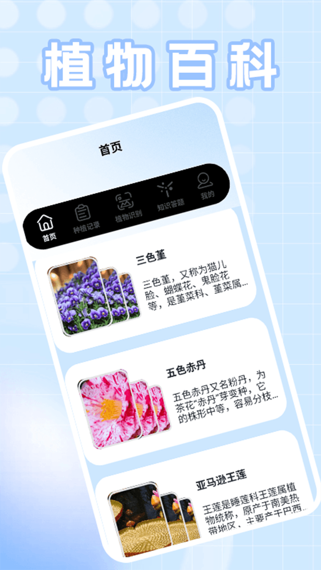 精彩截图-种菜忙不停2026官方新版