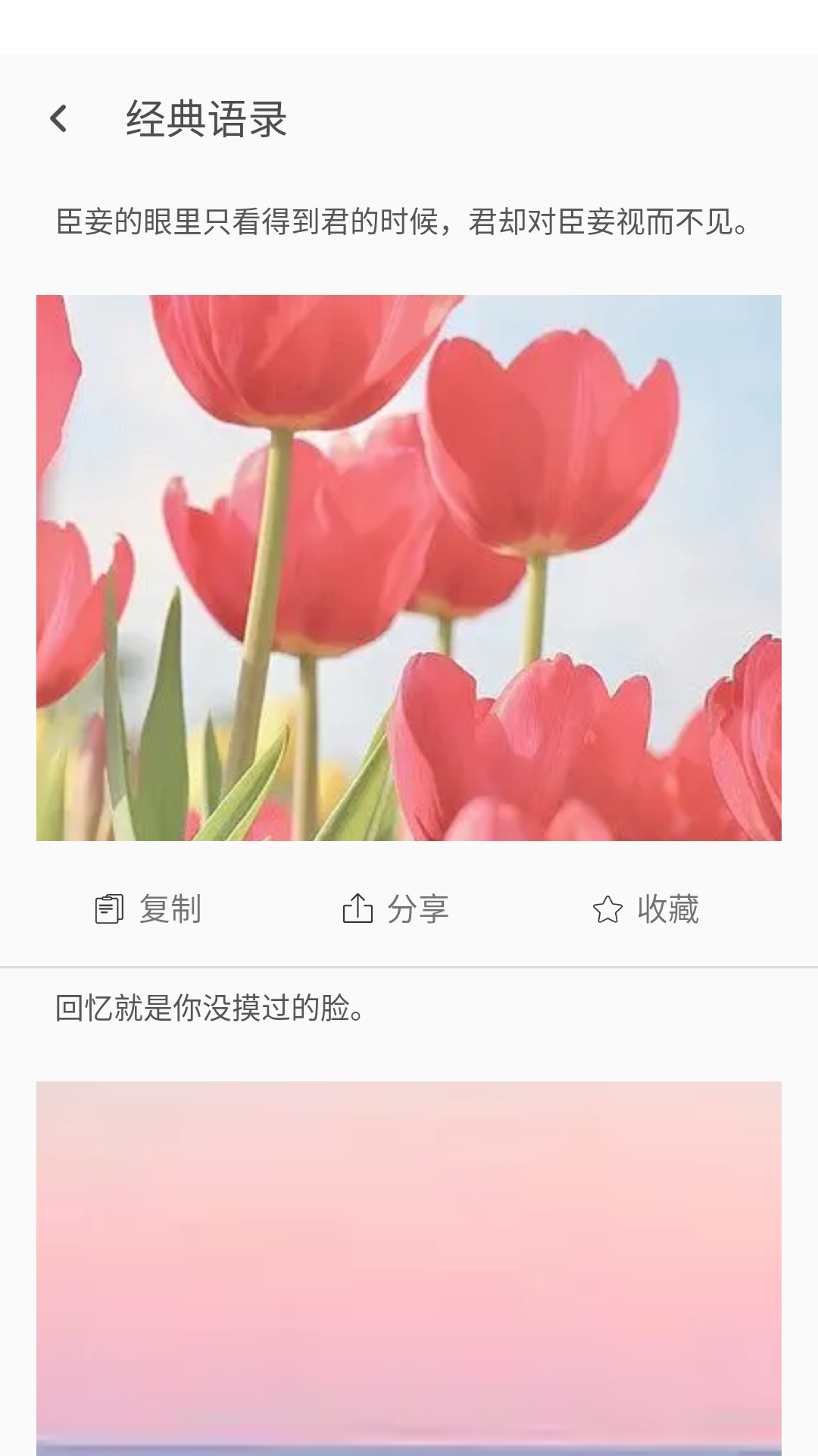 朋友圈文案大师 截图 4