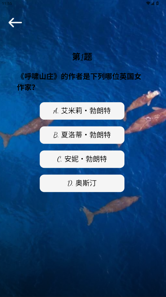 精彩截图-孝馨到家2026官方新版