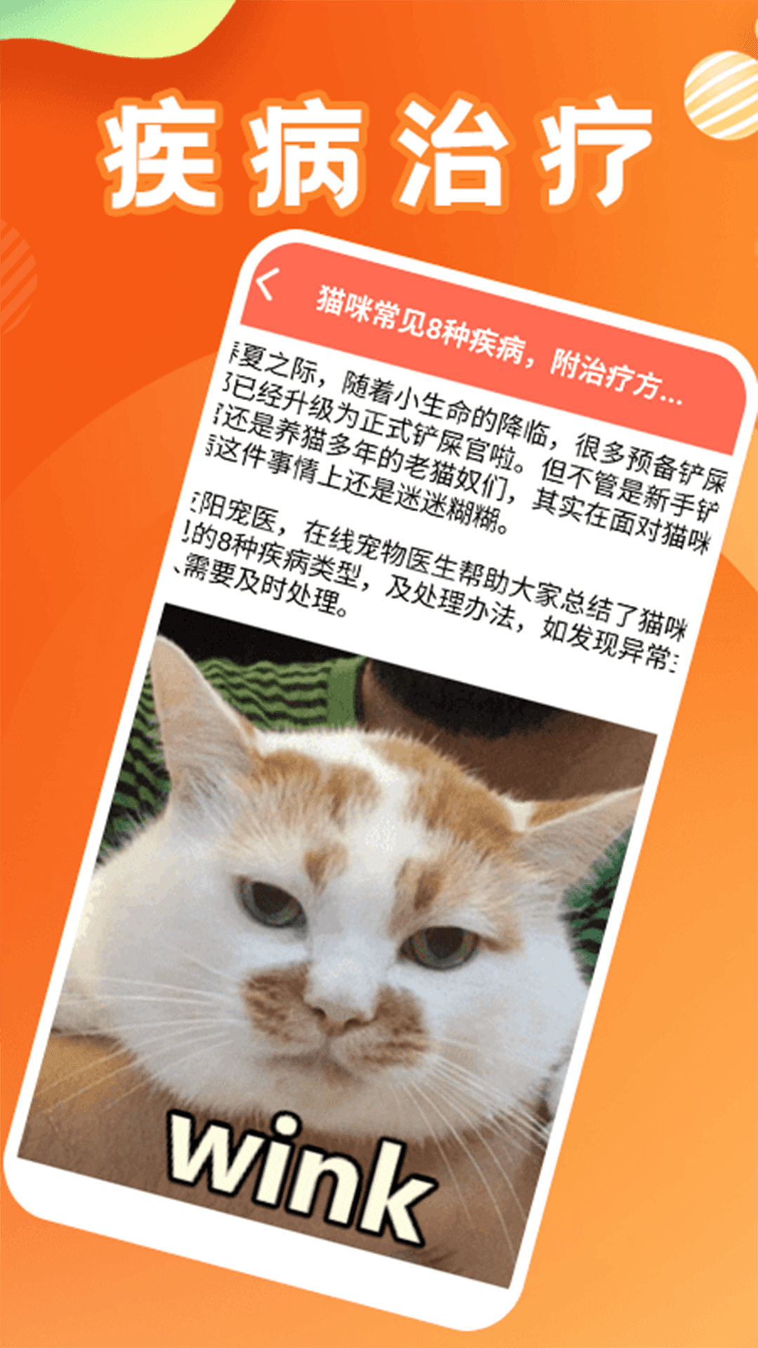 精彩截图-治愈猫咪20252026官方新版