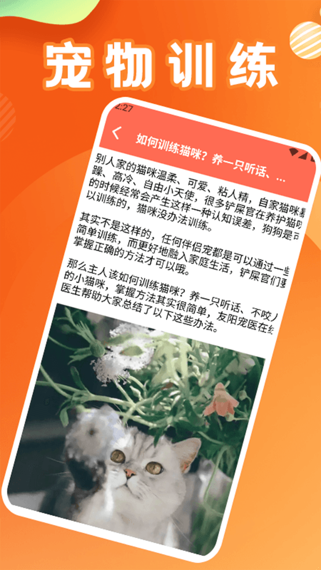 精彩截图-治愈猫咪20252026官方新版