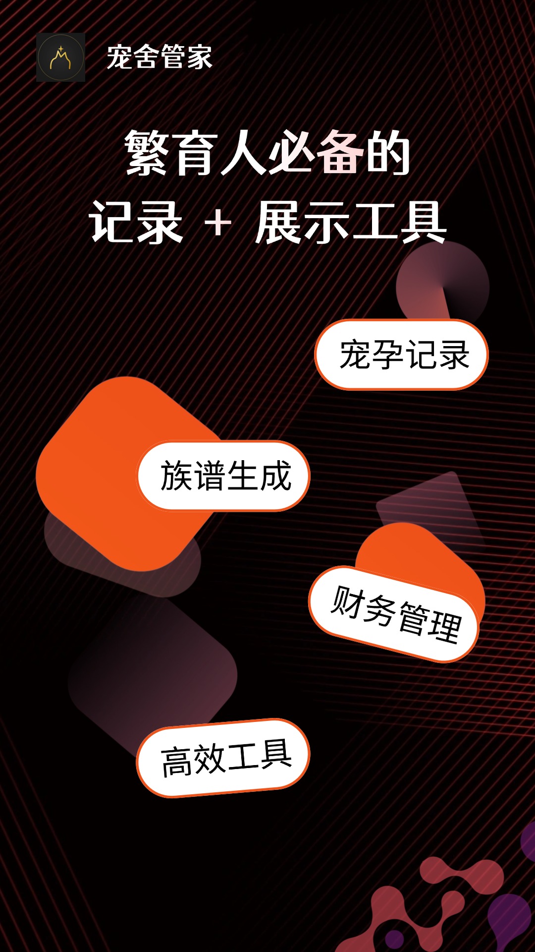 精彩截图-宠舍管家2026官方新版