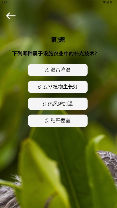 精彩截图-星芒视觉2026官方新版