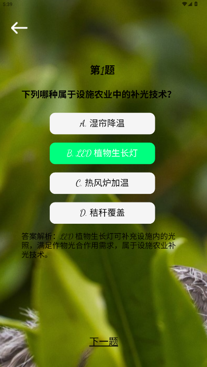 精彩截图-星芒视觉2026官方新版