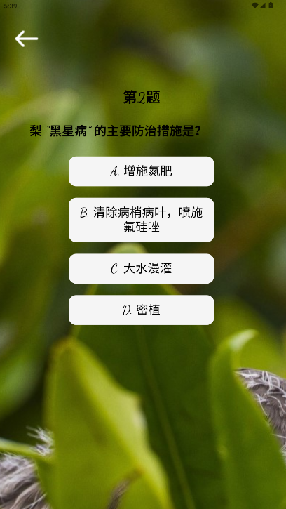 精彩截图-星芒视觉2026官方新版