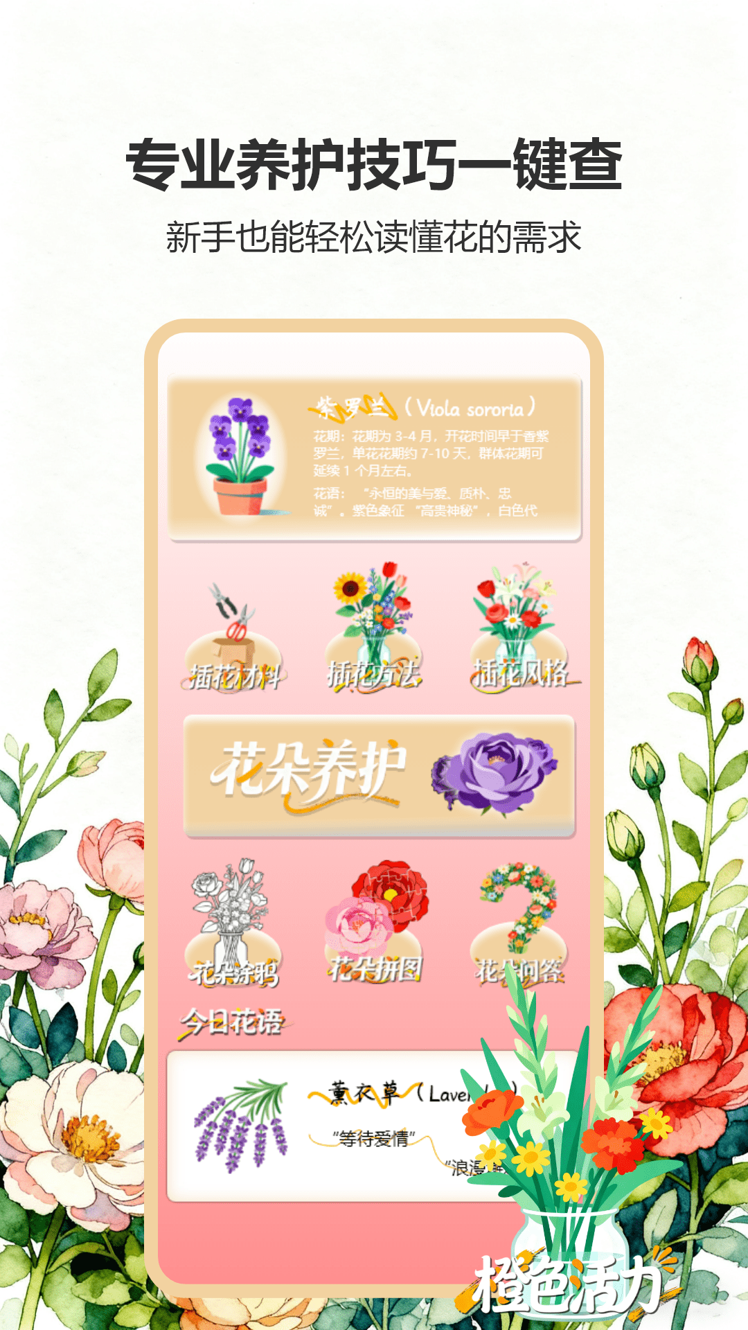 精彩截图-花花大挑战2026官方新版