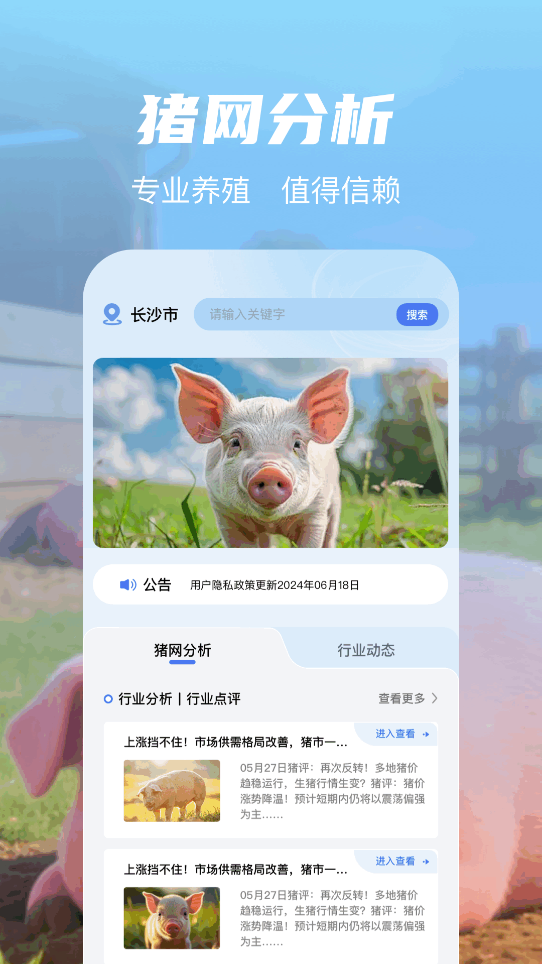 精彩截图-全民养猪场2026官方新版