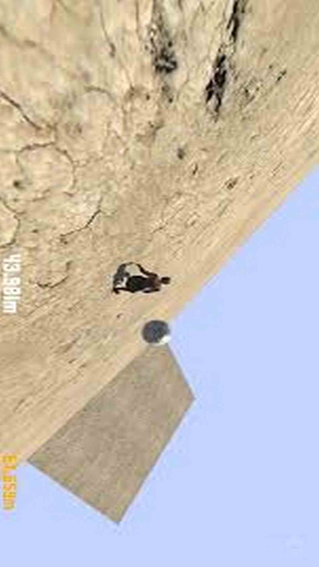 精彩截图-一直滚下去2026官方新版