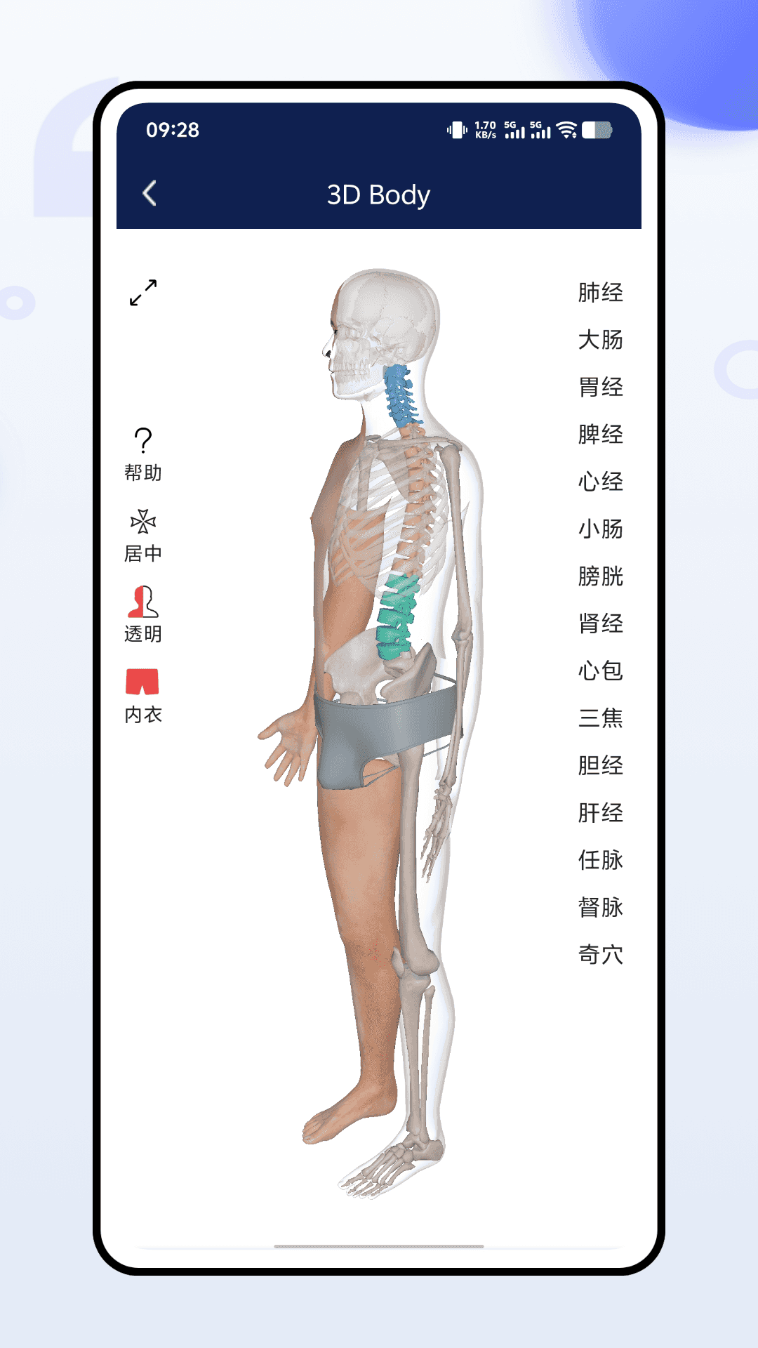 精彩截图-3dbody人体解剖学2026官方新版