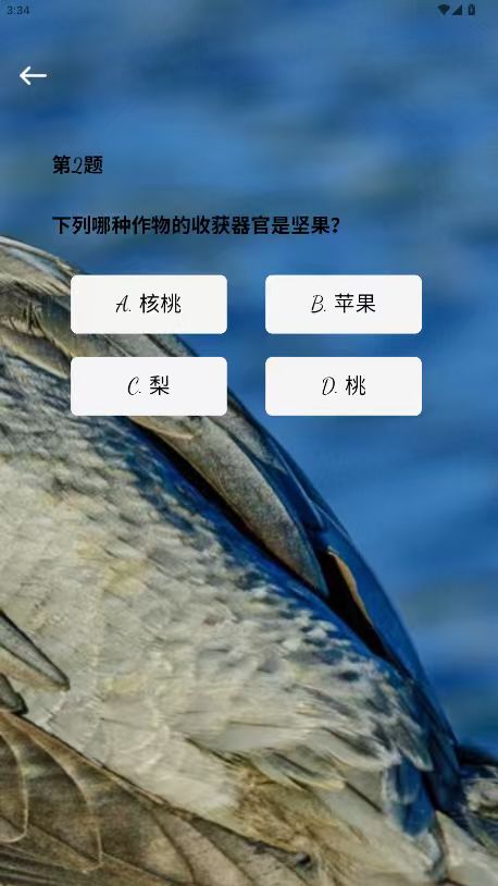 精彩截图-星枢时光2026官方新版