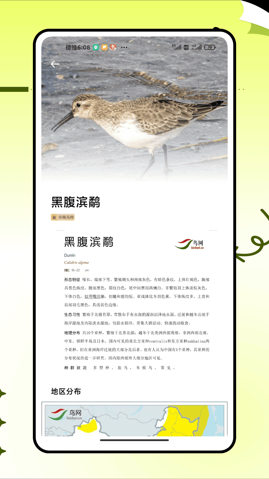 精彩截图-鸟种识别2026官方新版