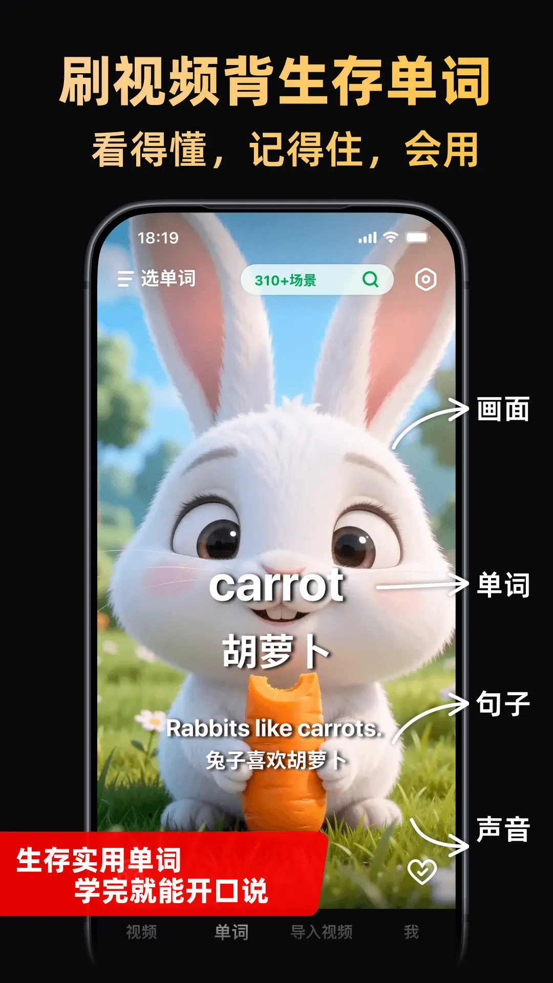 精彩截图-阿美英语2026官方新版