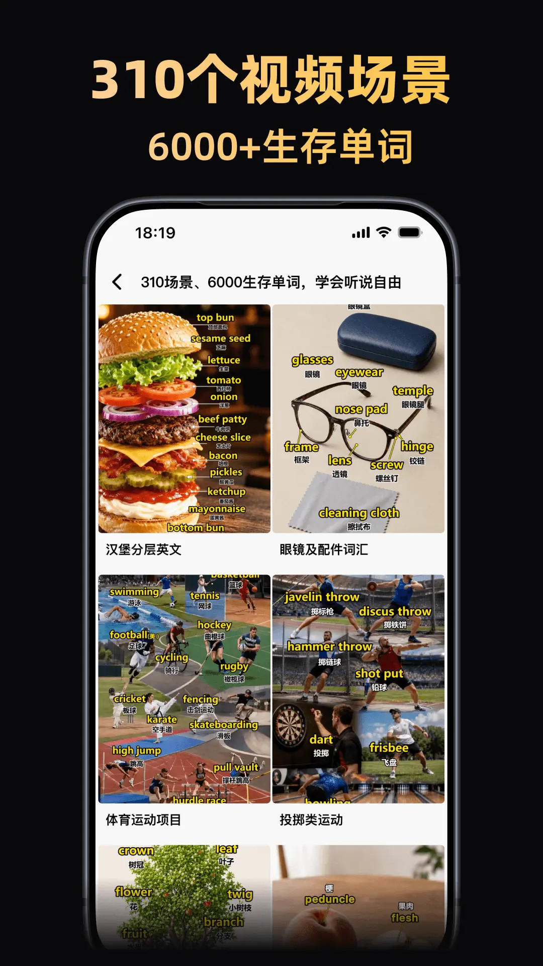 精彩截图-阿美英语2026官方新版
